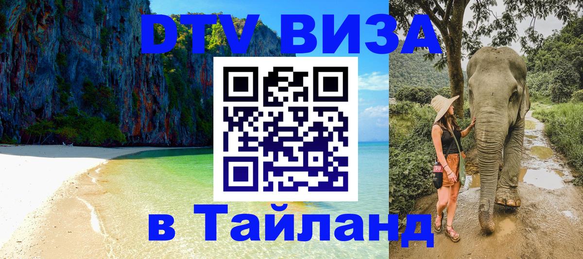 Оформление DTV визы под ключ: стоимость и тарифы, только загранпаспорт - 